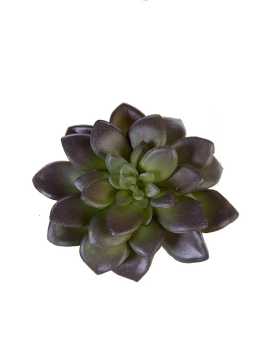 5” Hen N Chicks 3”D