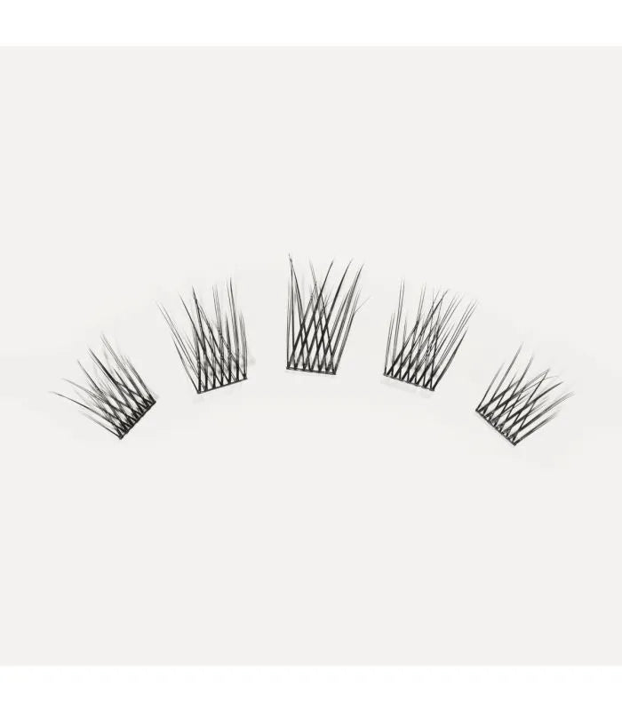 LashSense® Lashes Bloom Box