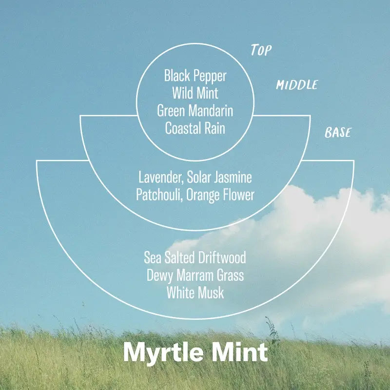 Myrtle Mint-Alchemy Incense Cones